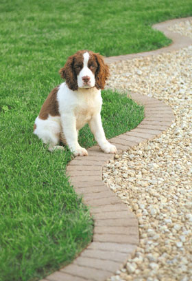 Handy-Edge landscape edging for your yard