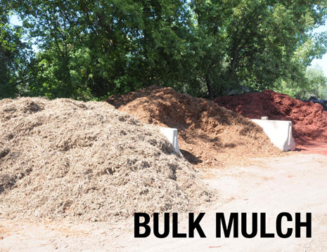 Mulch also can improve the appearance of your garden. Bark mulch provides uniformly rich colors to make your plants stand out. And mulch can keep plants clean by preventing soil from splashing onto leaves during rainstorms.